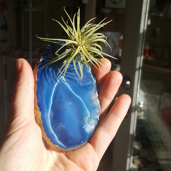 Gorgeous Blue Agate Crystal Decor - Picture 4 of 4